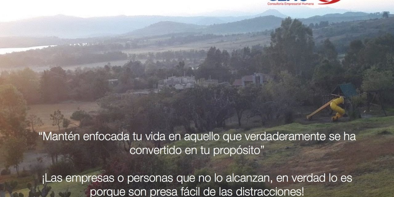 ¡Enfócate y no te distraigas!