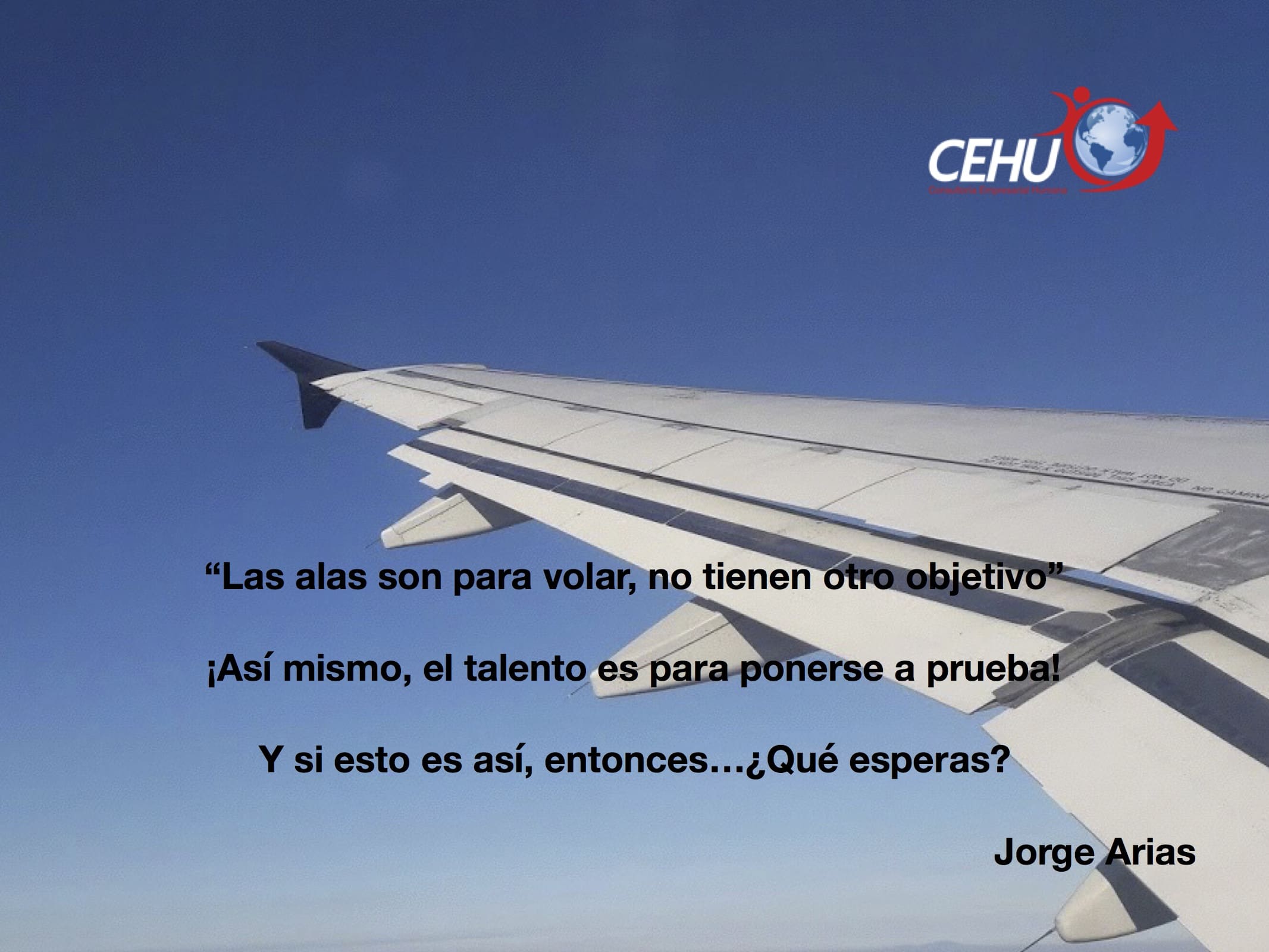 ¡Son para volar!