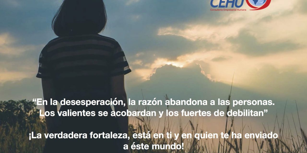 ¡No desesperes!