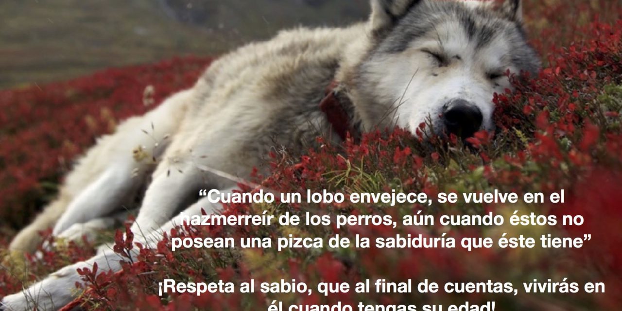 ¡Respeta al sabio!