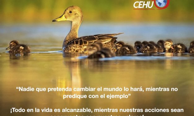 ¡Predique con el ejemplo!