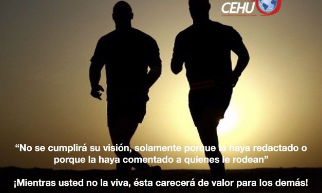 ¡Viva su visión!