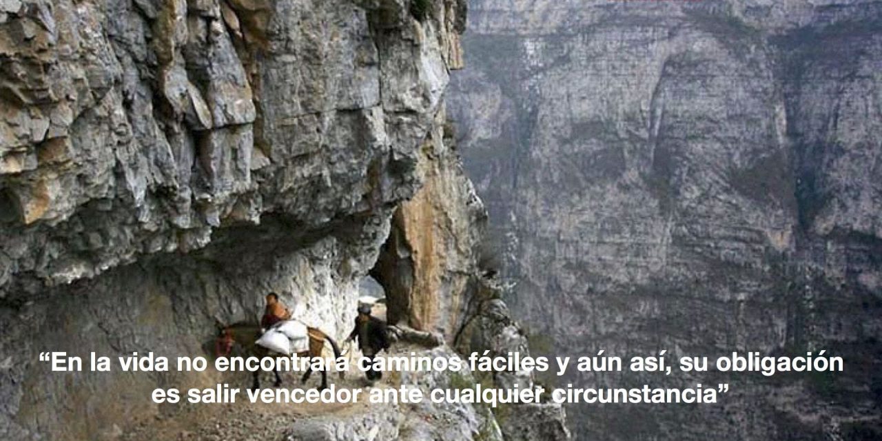 ¡Aprende y no te doblegues!