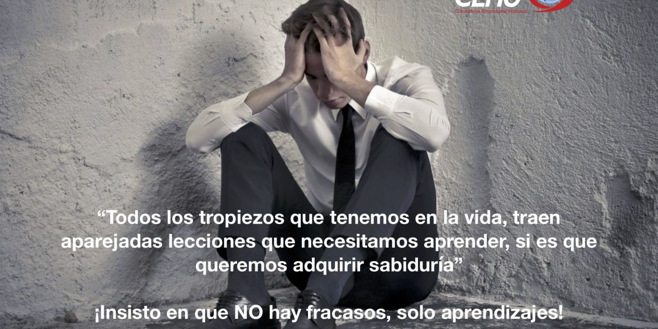 ¡Solo aprendizajes!